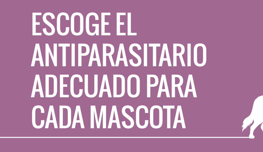 escoger-antiparasitario