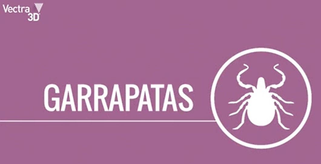 conociento-mejor-a-los-parasitos-las-garrapatas