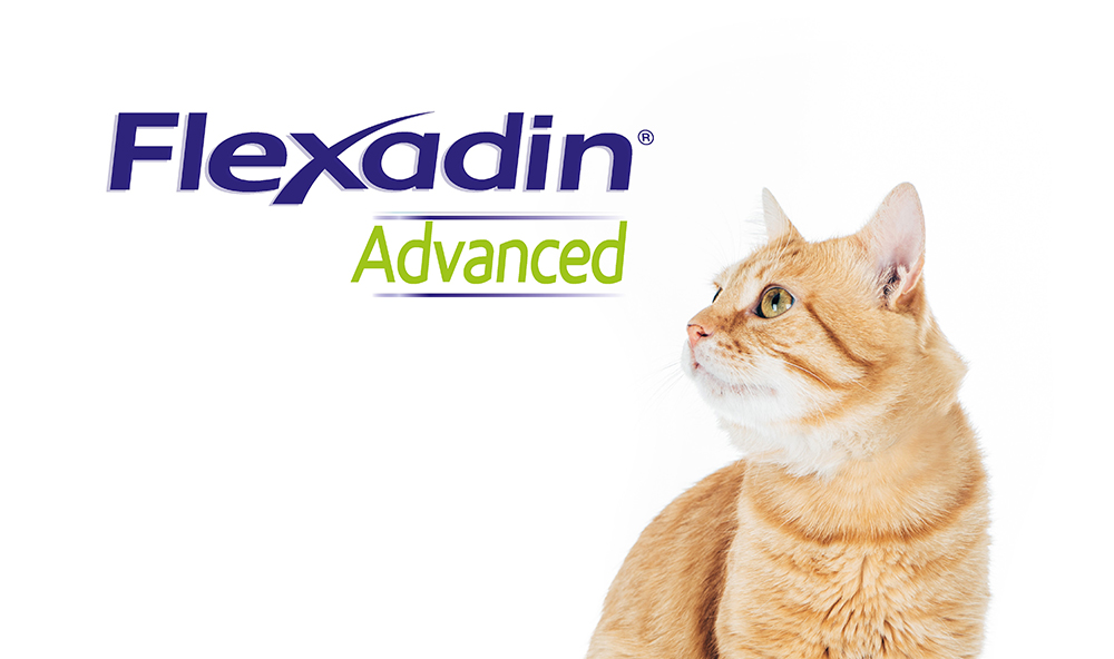 flexadin-advanced-gato