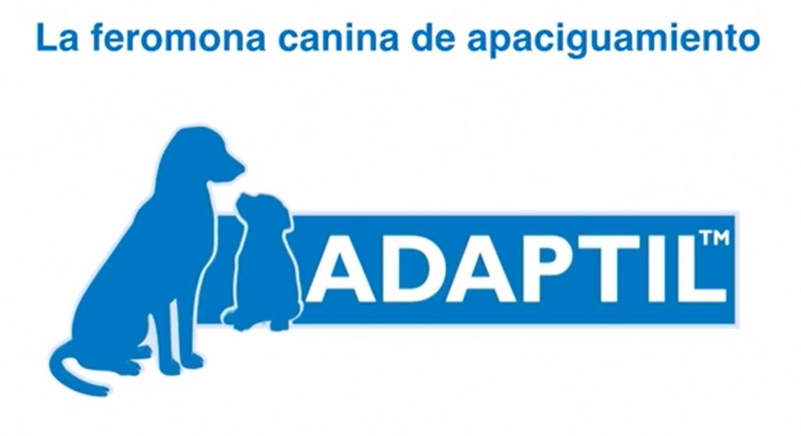 adaptil