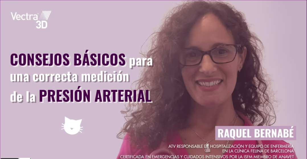 CONSEJOS BÁSICOS PARA UNA CORRECTA MEDICIÓN DE LA PRESIÓN ARTERIAL EN GATOS