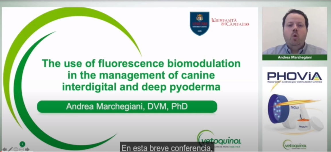 Uso de la energía lumínica FLE (fluorescent light energy - Phovia) en el tratamiento de la pioderma profunda e interdigital canina
