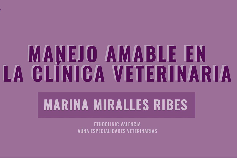 manejo-bajo-estres-en-gatos