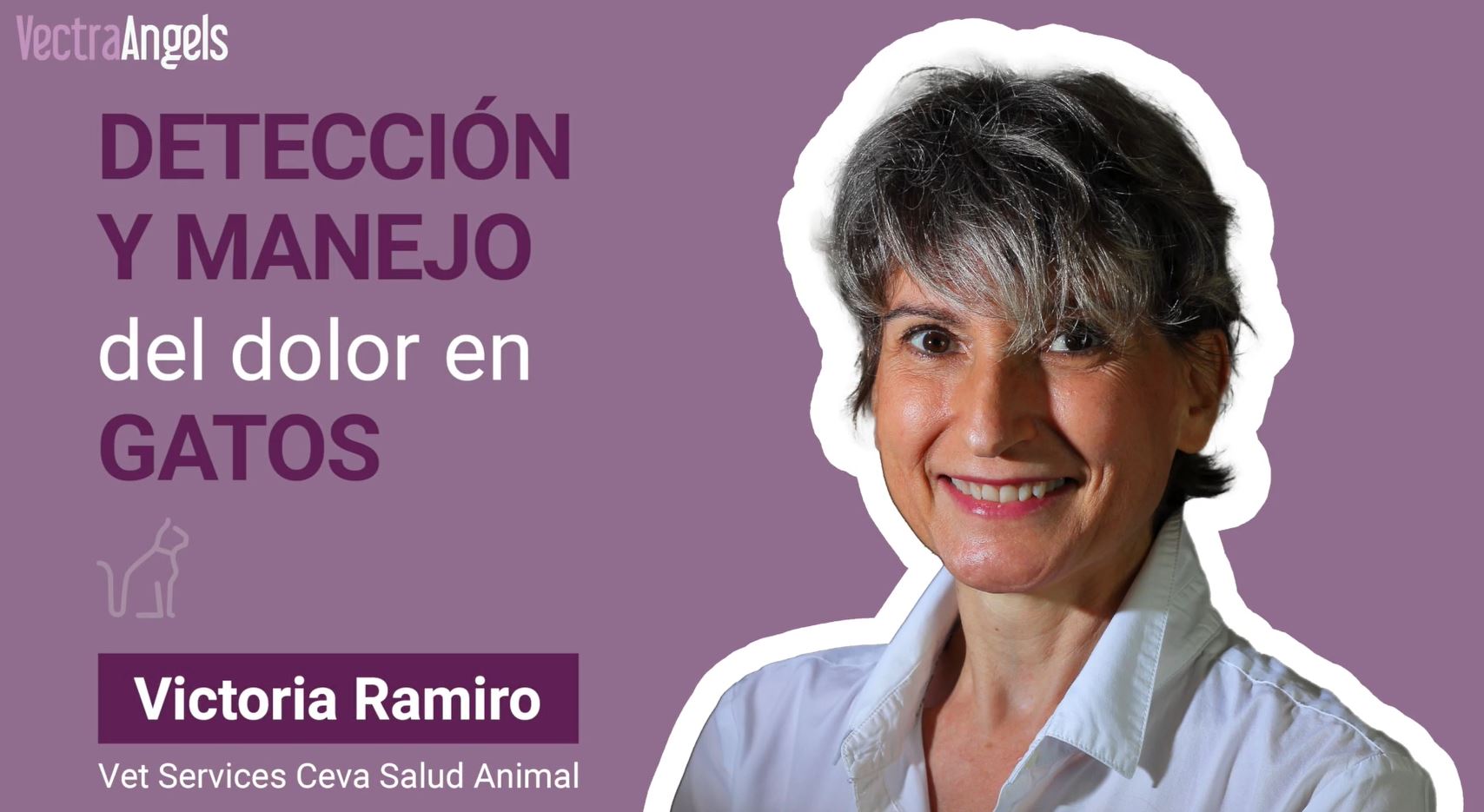 deteccion-y-manejo-del-dolor-en-gatos