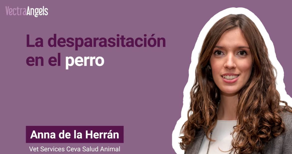 como-seleccionar-el-mejor-antiparasitario-para-tus-clientes