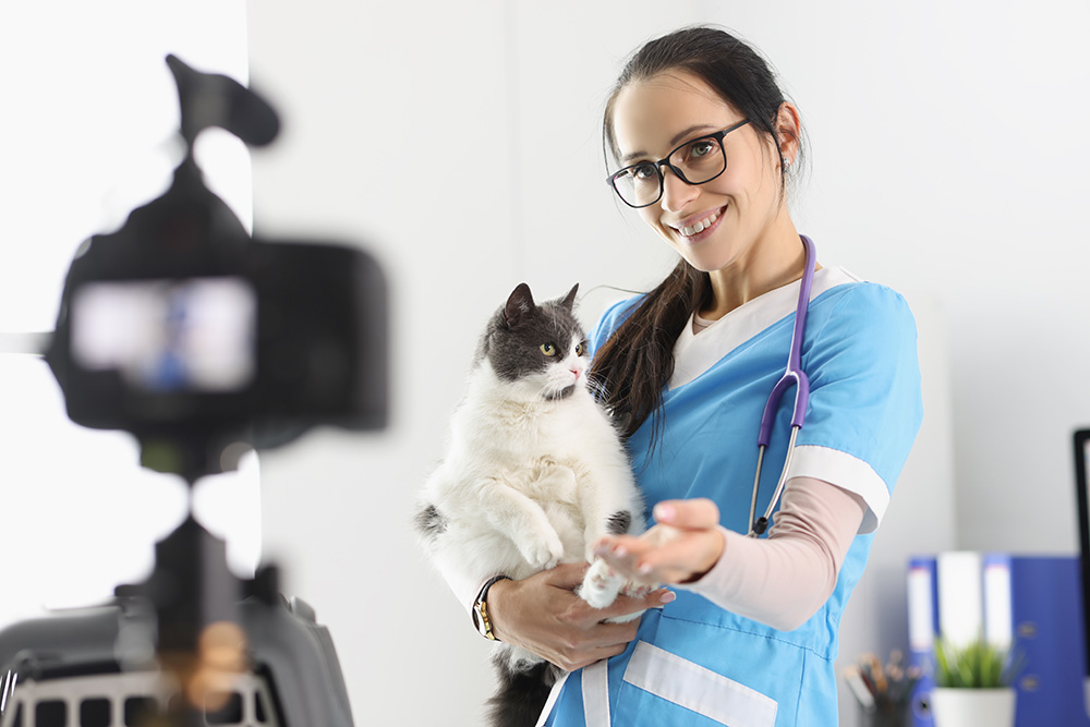 female-doctor-present-cute-kitty-on-camera-petting-him-for-video