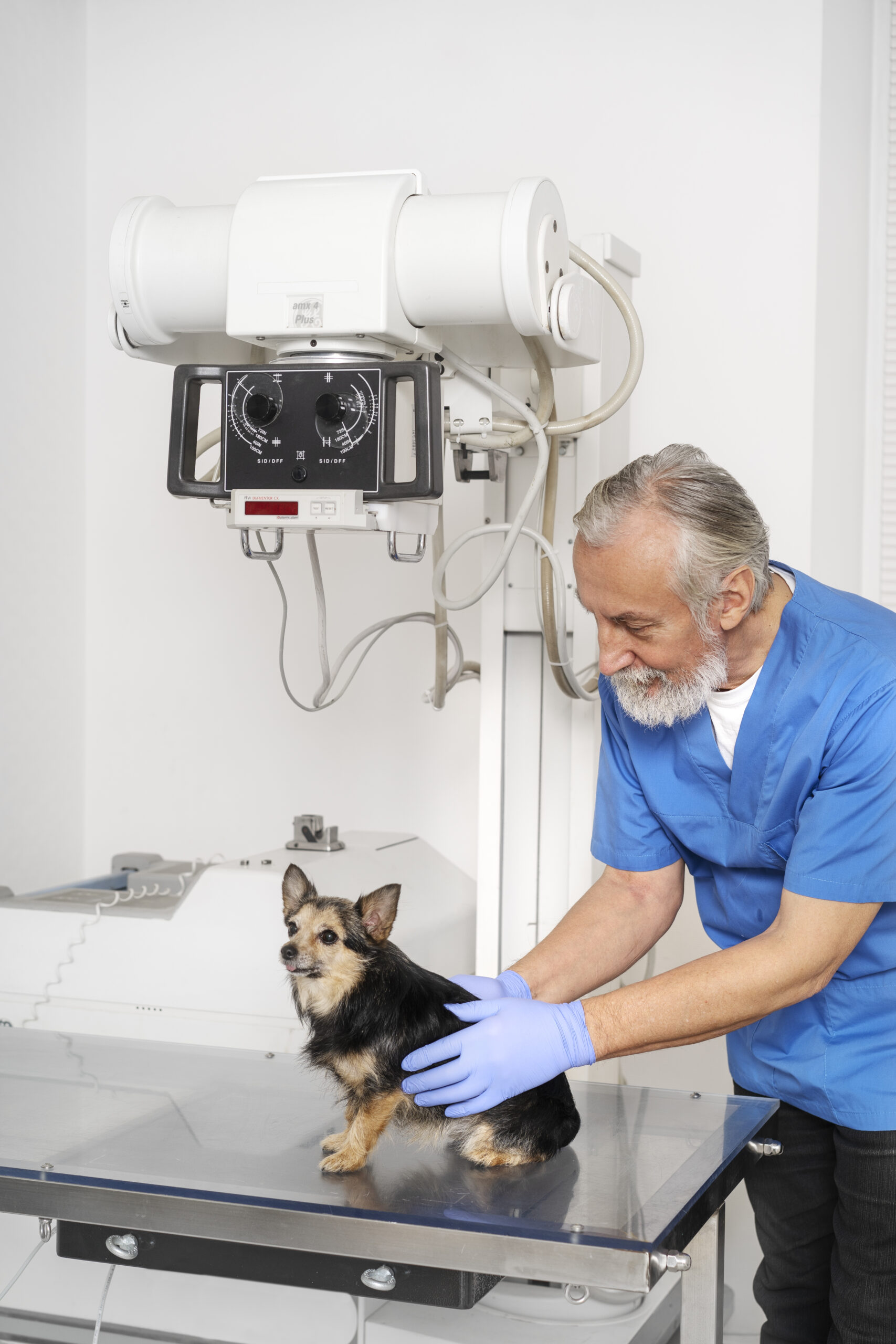 acercamiento-al-medico-veterinario-cuidando-mascota