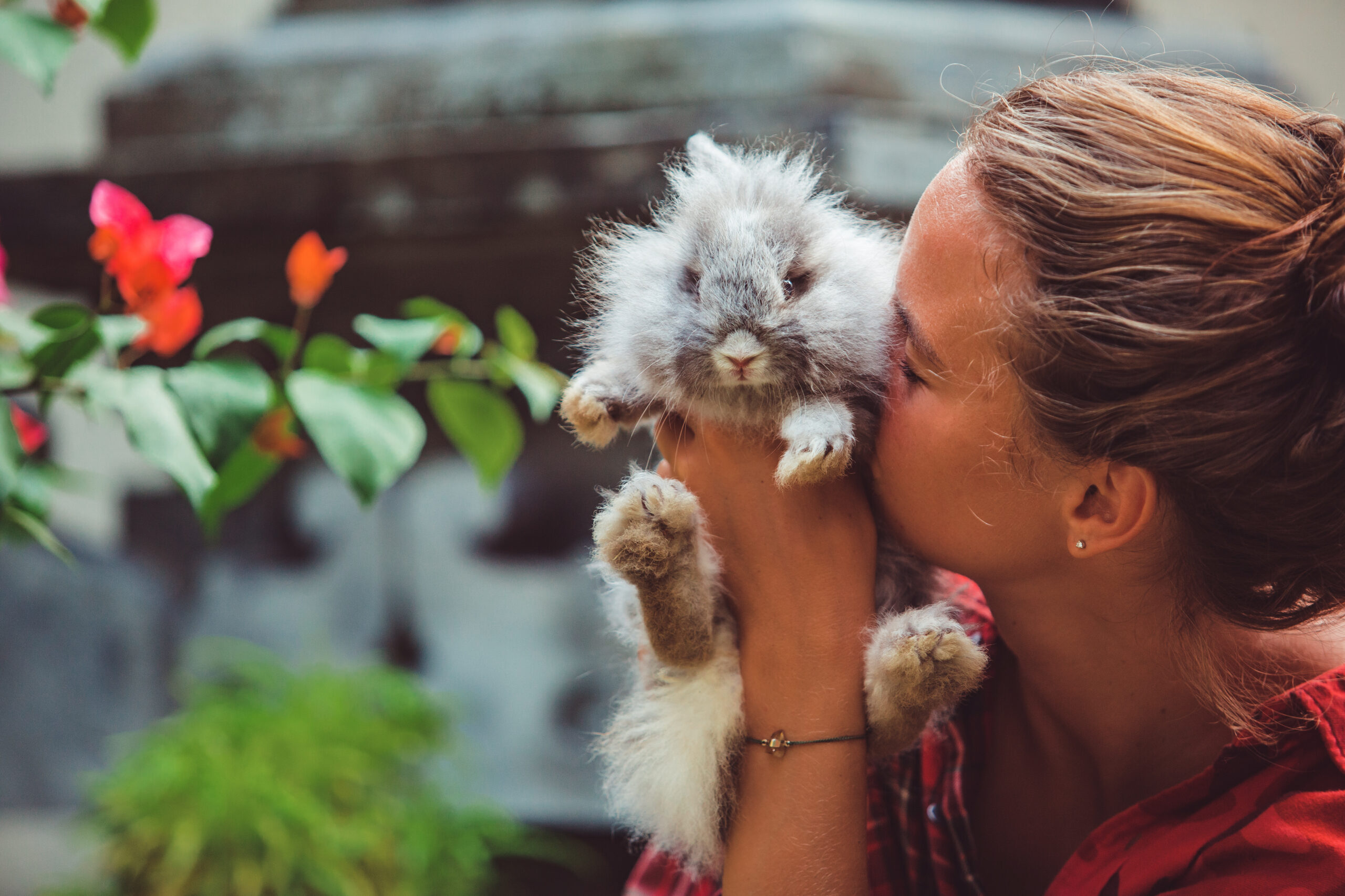 woman plays with a little rabbit.