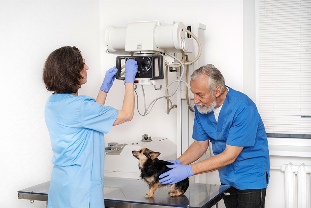 estudio-radiogradias-cadera